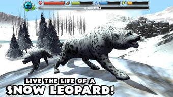 Image 3 for Snow Leopard Simulator