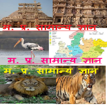 Image 2 for mp gk
