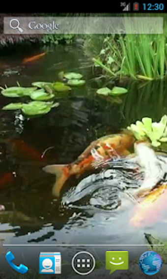 Imagen 1 para Japanese Koi Fish Wallpap…