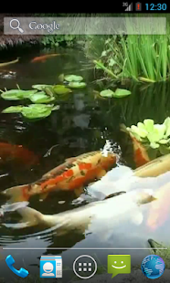 Imagen 0 para Japanese Koi Fish Wallpap…