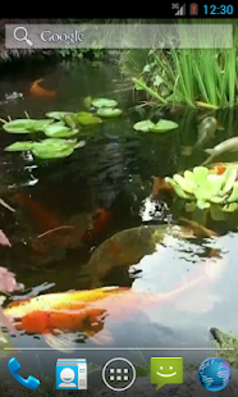 Imagen 2 para Japanese Koi Fish Wallpap…