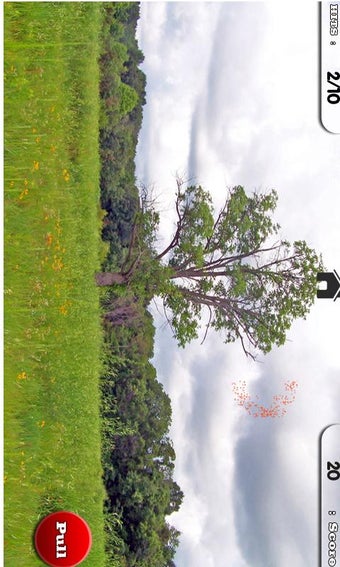 Image 3 for Shooting Sporting Clay