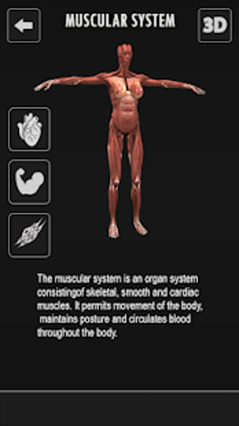 Image 1 for Female Anatomy 3D : Femal…