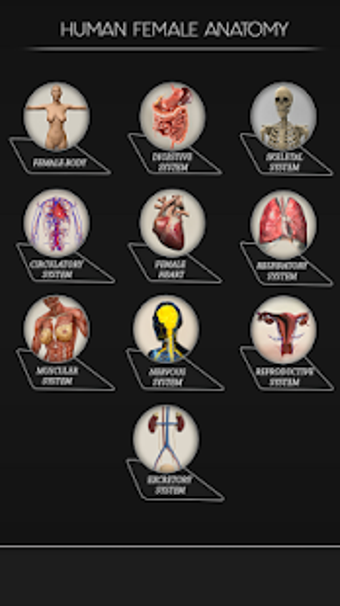 Image 0 for Female Anatomy 3D : Femal…