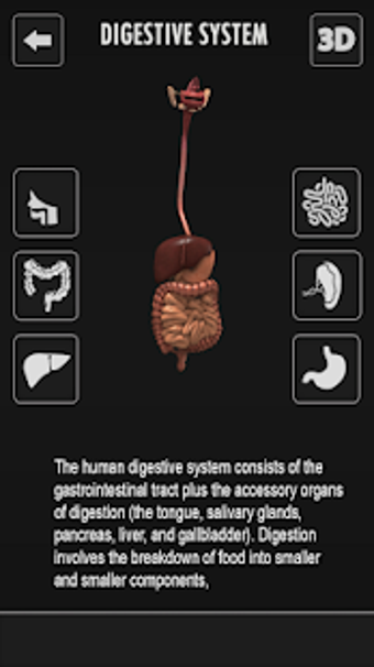 Image 1 for Female Anatomy 3D : Femal…
