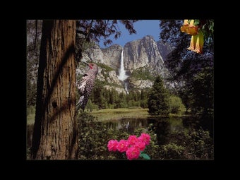 Image 0 for SkyLife Screen Saver