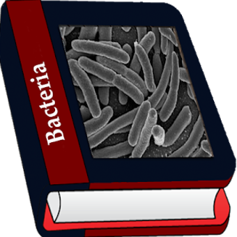 Imagen 0 para Bacteria