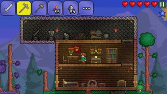 Imagen 1 para Terraria
