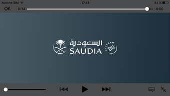 Image 0 for SAUDIA SkyFi