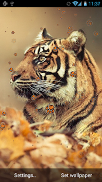 Image 2 for Tiger Live Wallpaper