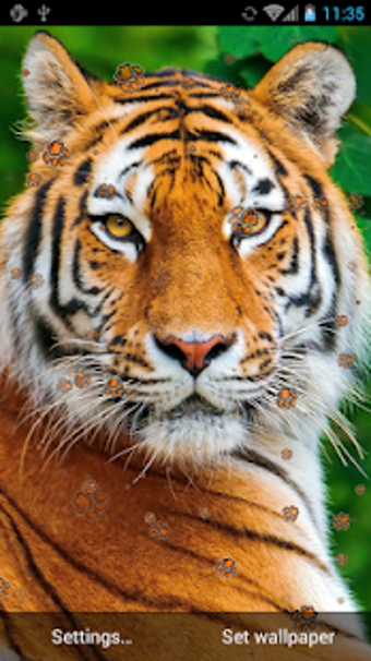 Image 0 for Tiger Live Wallpaper