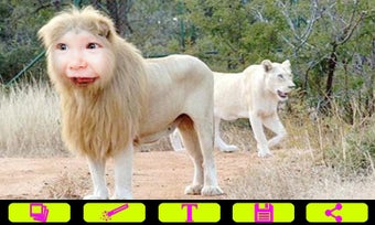 Image 0 for Lion Photo Frames