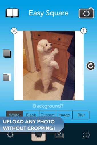 Image 0 for Easy Square - Post Entire…