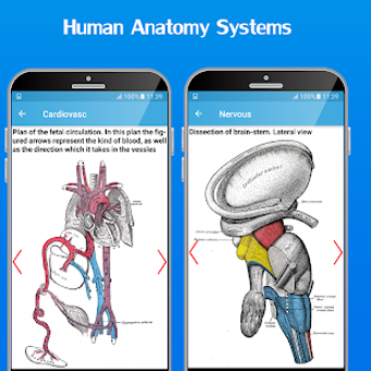 Image 1 for Atlas of Human Anatomy 20…