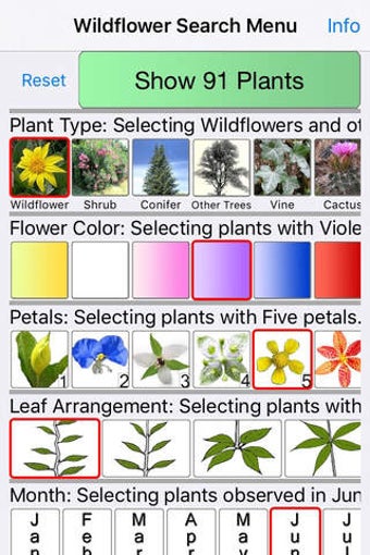 Image 0 for Florida Wildflowers