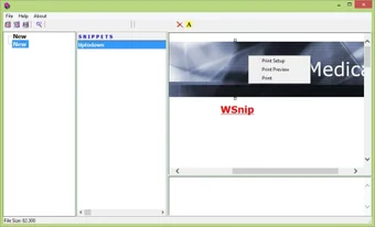 Image 0 for WSnip