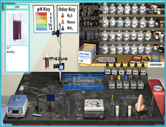 Imagen 2 para Virtual ChemLab for Chrom…