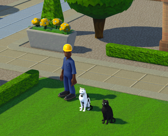 Imagen 0 para Cats for Two Point Campus