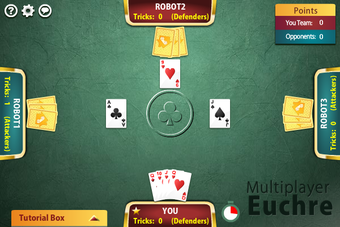 Imagen 0 para Multiplayer Euchre