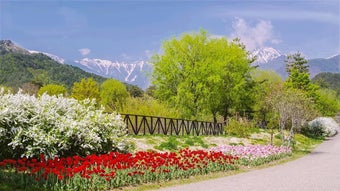 Image 0 for Tile Puzzles  Alps