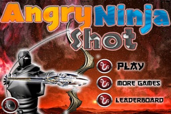 Image 0 for An Angry Ninja Shot - The…