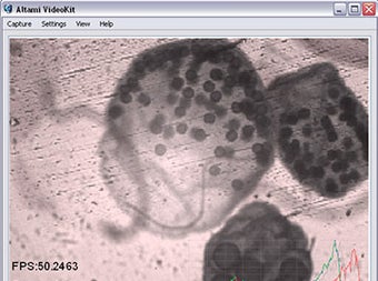 Image 0 for Altami VideoKit