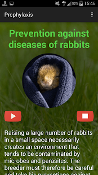 Image 1 for Rabbit breeding
