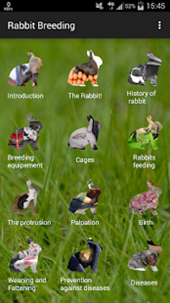 Image 1 for Rabbit breeding