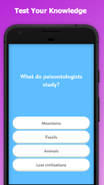 Image 2 for General Knowledge Quiz Wi…