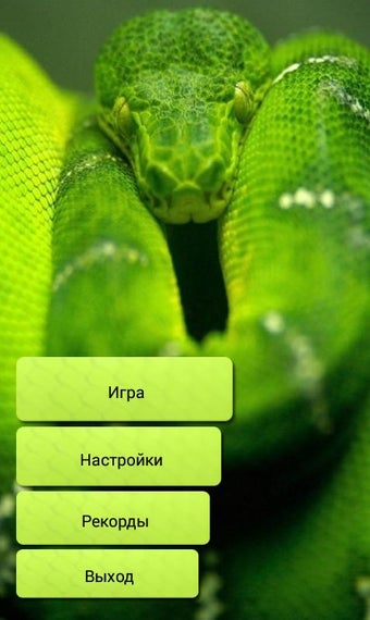Image 0 for Snake WiFi