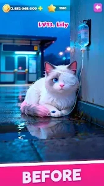 Image 0 for Paw Retreat