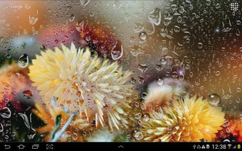 Imagen 1 para Autumn Flowers Live Wallp…