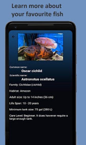 Imagen 3 para FishYI - Pet Fish Identif…