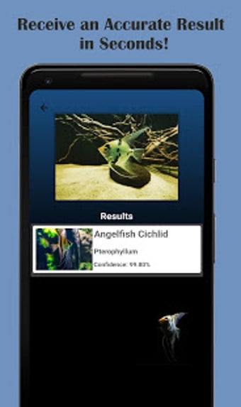 Imagen 0 para FishYI - Pet Fish Identif…