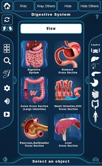 Imagen 1 para Digestive System Anatomy