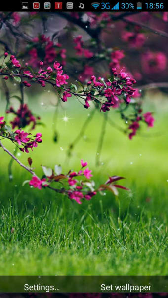Image 3 for Spring Flowers Live Wallp…