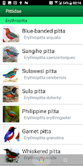 Image 3 for Birds of the Southeastern…