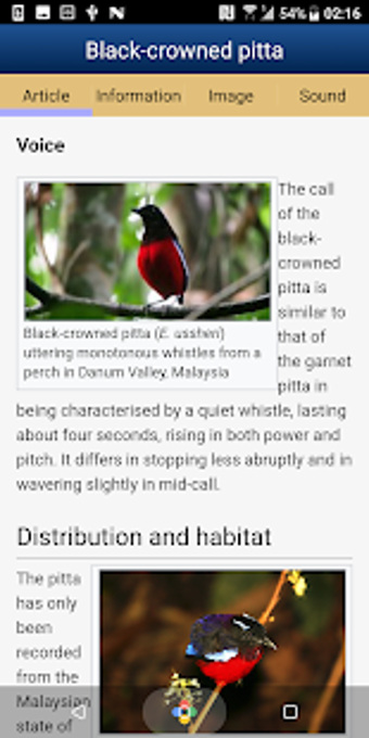 Image 1 for Birds of the Southeastern…