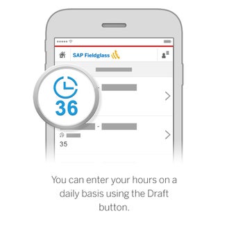 Image 3 for SAP Fieldglass Time Entry