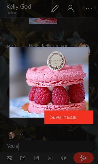 Image 9 for GMessenger