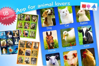 Imagen 0 para ZOOLA Animals Deluxe - An…