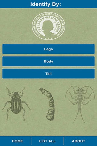 Image 0 for Aqua Bugs