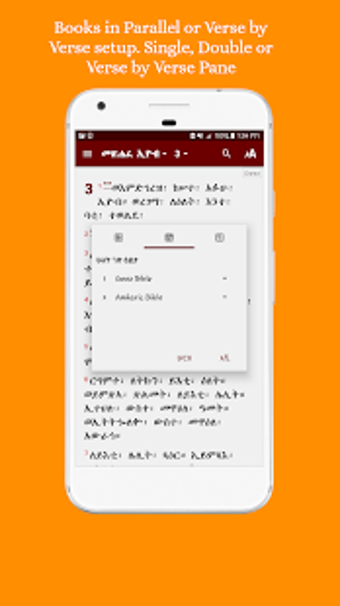 Image 3 for Geez Amharic Bible
