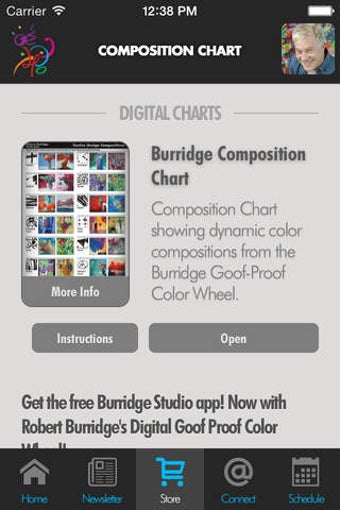 Image 0 for Burridge Composition Char…