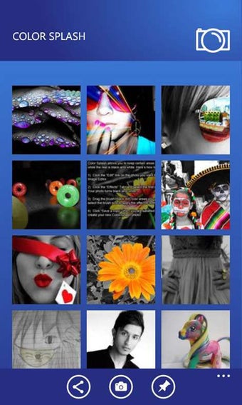 Image 0 for Photobucket for Windows 1…
