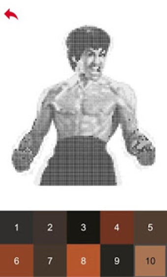 Image 2 for Bruce Lee Color by Number…