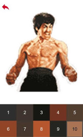 Image 3 for Bruce Lee Color by Number…