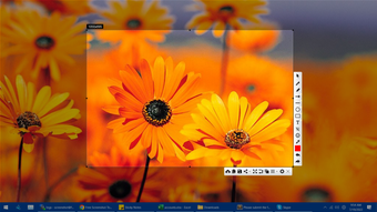 Image 0 for Free Screenshot Tool