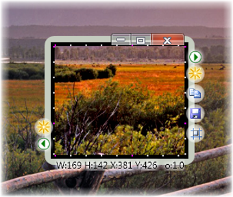 Imagen 0 para SnapaShot Classic