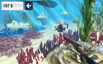Image 0 for Hunter underwater spearfi…